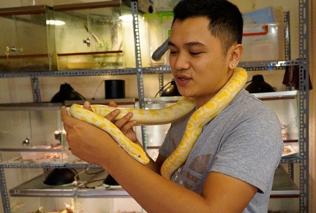 Chàng trai Hà Nội 10 năm nuôi rắn làm thú cưng