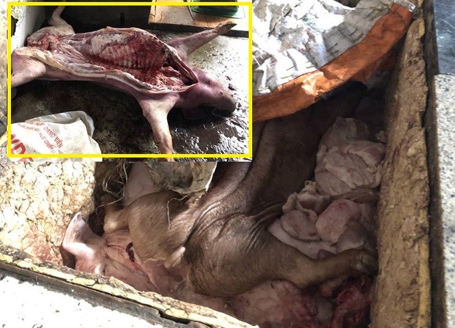 Đồng Nai: Bắt quả tang lò mổ mua heo chết, nhiễm bệnh về xẻ thịt bán