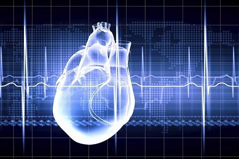 Vì sao con người ít bị ung thư tim?