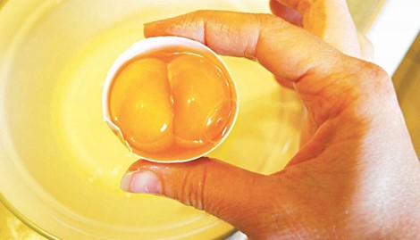 Giá trị dinh dưỡng không ngờ của trứng gà hai lòng đỏ