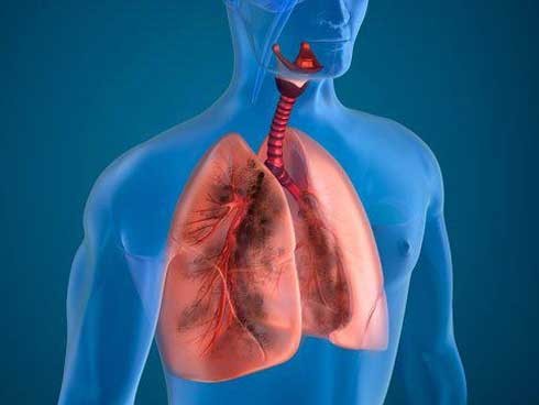 10 cách giúp thanh lọc phổi tự nhiên hiệu quả