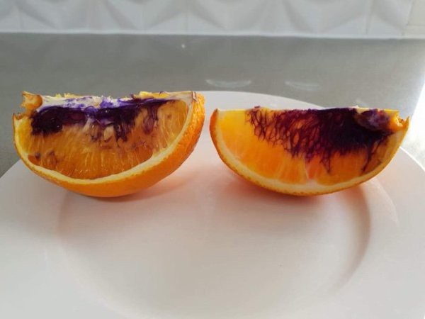 Giới khoa học điên đầu vì quả cam chuyển sang màu tím chỉ sau một đêm