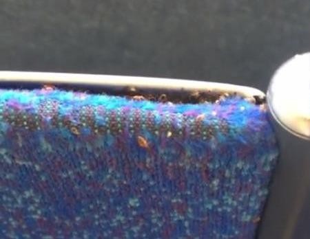 Hành khách kinh hoàng phát hiện cả đàn rệp bò ra từ ghế xe buýt