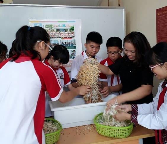 Cô Hoa Vân cùng các học sinh đang tiến hành thu hoạch Giá đỗ