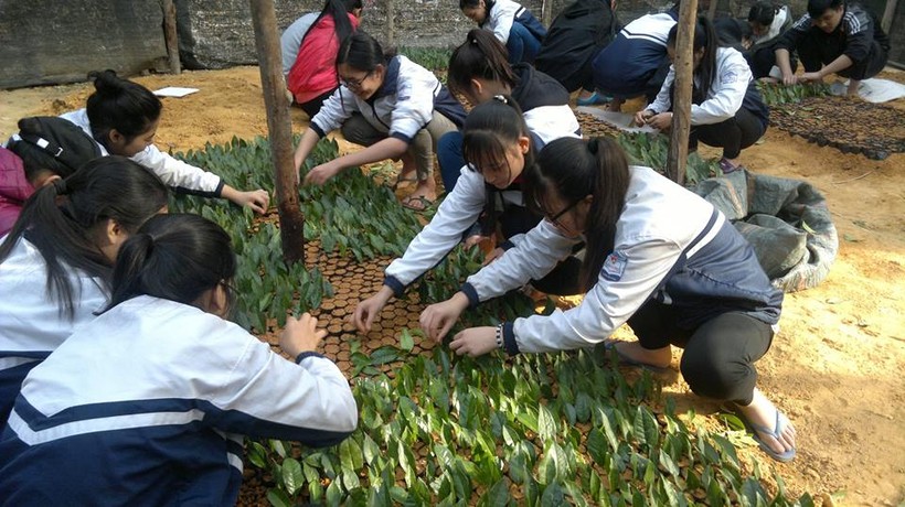 Học sinh đang thực hành tại vườn ươm