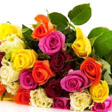 5 loại hoa tặng mẹ ngày 20/10 cực đẹp và ý nghĩa