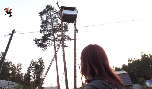 Người đàn ông Nga xây nhà trên cây của hàng xóm khi họ đi nghỉ