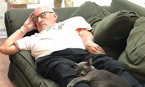 Cụ ông Mỹ được ủng hộ 30.000 USD nhờ ảnh ngủ với mèo con 