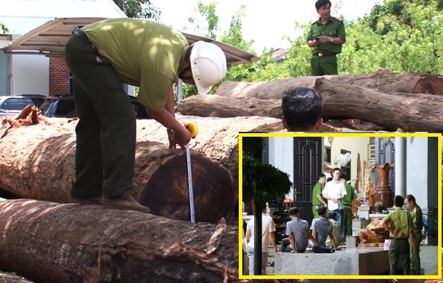 Đắk Nông: Bắt Đội trưởng kiểm lâm nhận hàng trăm triệu của trùm gỗ lậu
