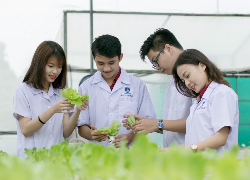 Sinh viên Công nghệ Hóa và Thực phẩm Đại học Nguyễn Tất Thành nghiên cứu mô hình sản xuất rau sạch trên dây chuyền hiện đại