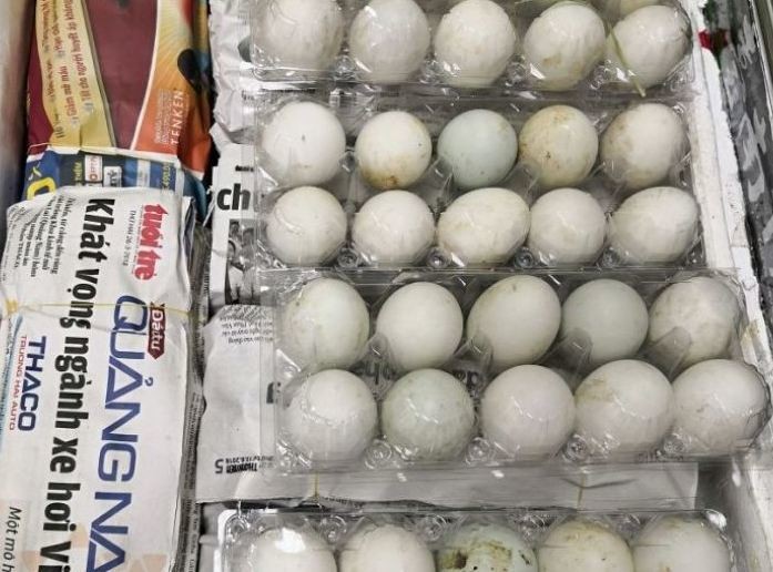 Mang trứng vịt lộn vào Singapore, 1 phụ nữ Việt bị phạt 150 triệu