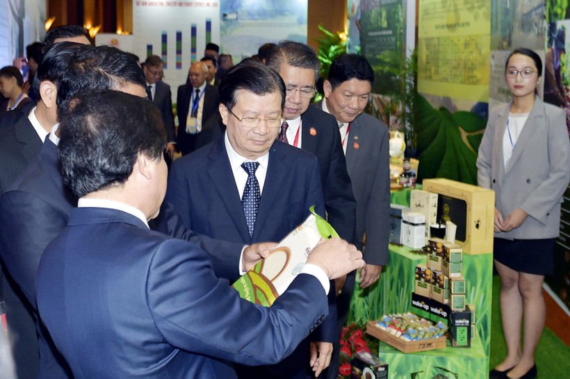 Phó Thủ tướng Trịnh Đình Dũng cùng các đại biểu thăm gian hàng triển lãm tại sự kiện