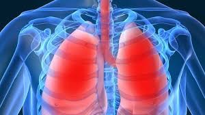 5 thói quen giúp phổi luôn khỏe mạnh mỗi ngày