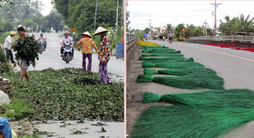 Người dân làng nghề truyền thống biến mặt đường thành nơi phơi nguyên liệu (ảnh chụp ngày 17/10)