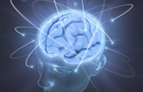 Bộ não nhân tạo giúp bác sĩ nghiên cứu điều trị các bệnh thần kinh