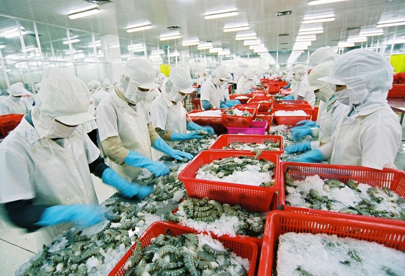 Nhiều “rào cản” khiến thủy sản Việt rất khó tiêu thụ tại thị trường nội địa