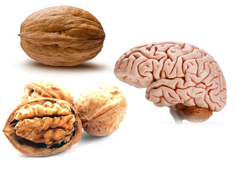 7 thực phẩm giúp cải thiện trí nhớ và tốt cho não bộ