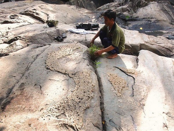 Phiến đá nổi lên hình ảnh về bản đồ Việt Nam