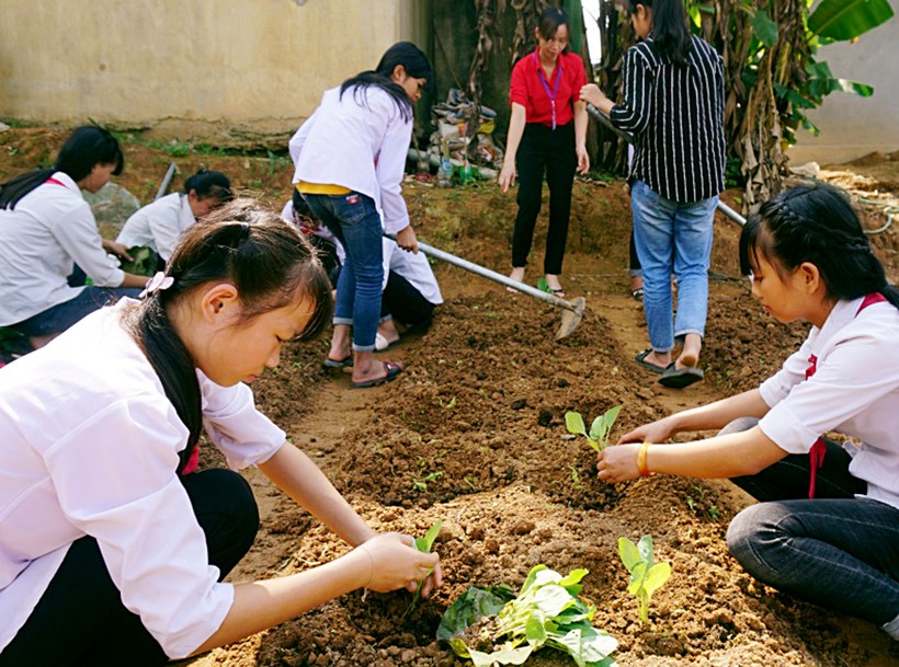 Các em học sinh đang được hướng dẫn học cách trồng rau