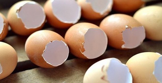 10 tác dụng thần kỳ của vỏ trứng 