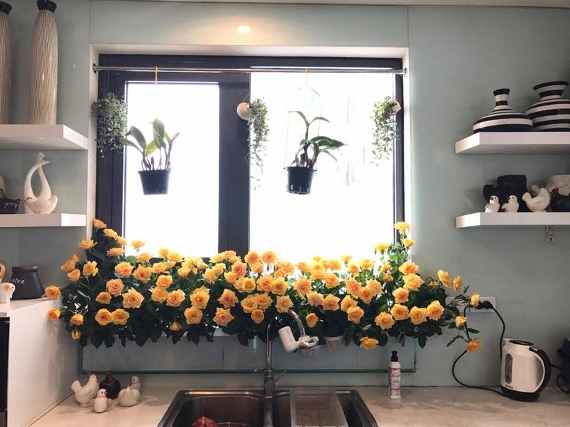 Độc đáo “vườn hoa” trên cửa sổ nhà bếp của mẹ khéo tay Hà Thành