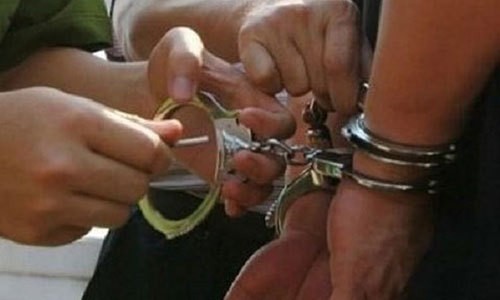 Nữ cảnh sát dùng chiêu “độc” để bắt trùm giang hồ đất Cảng