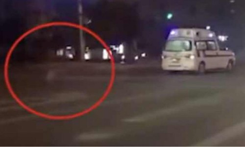 Chó chạy theo xe cứu thương của chủ ở Trung Quốc