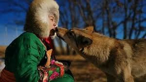 Cô gái xinh đẹp dùng miệng mớm thức ăn cho 8 con chó sói