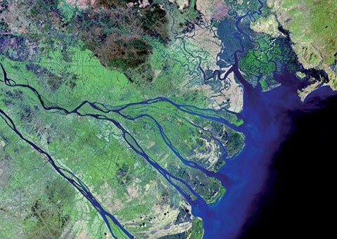 Gấp rút hoàn thiện Đề án Hệ thống cơ sở dữ liệu Đồng bằng sông Cửu Long