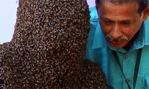 Chàng trai Ấn Độ lập kỷ lục cho 60.000 con ong bu kín mặt