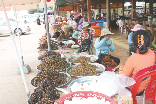 Chợ côn trùng