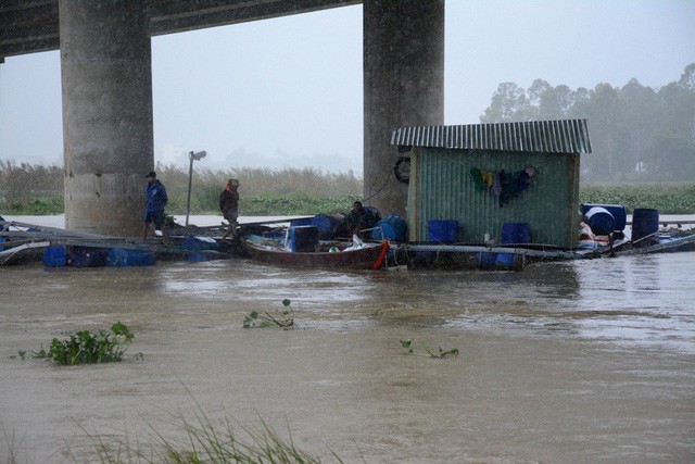Quảng Nam: 40 lồng cá bị lũ cuốn, phố cổ Hội An khốn đốn vì mưa ngập