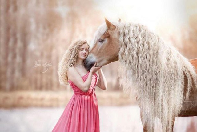 Chú ngựa gây sốt mạng vì cái bờm đẹp như mái tóc nàng Rapunzel