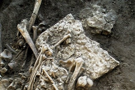 Phát hiện thảm họa cổ xưa nhất dưới ngôi mộ cổ 5.000 năm tuổi