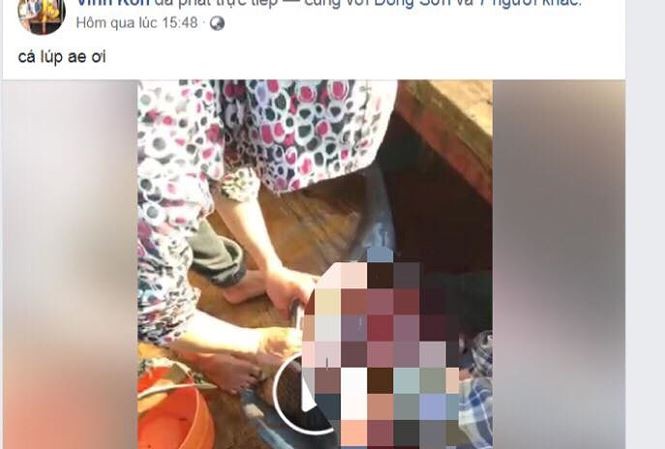Nhóm người livestream cảnh giết cá heo trên Facebook gây phẫn nộ