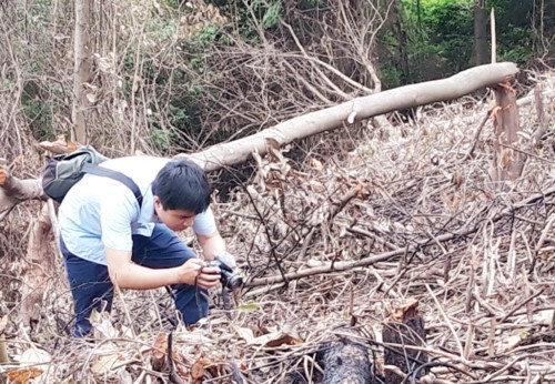 Phóng viên đang ghi nhận hình ảnh phá rừng tại vùng núi huyện Cam Lộ, tỉnh Quảng Trị

