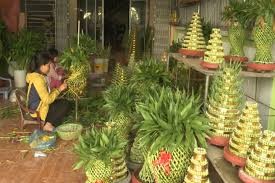 Làng trồng cây phát lộc ở Thái Bình tất bật vào vụ Tết