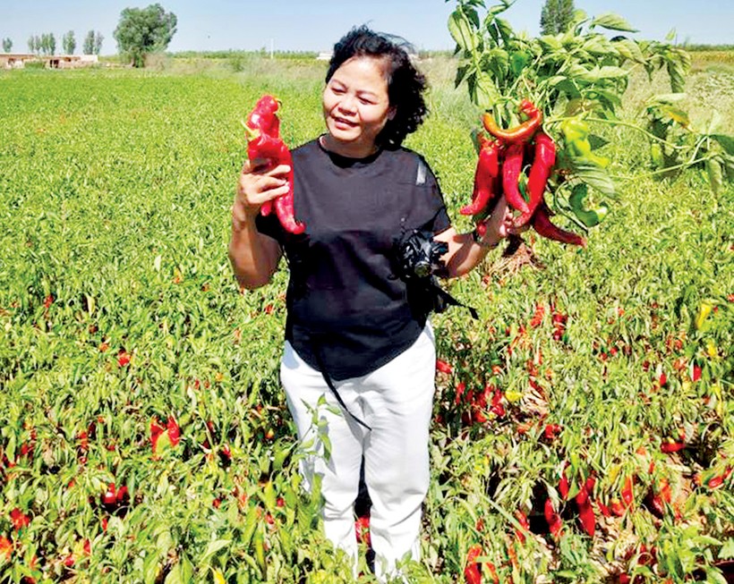 Bà Thành Thực trong chuyến tham quan sản xuất nông nghiệp tại Mông Cổ