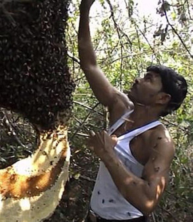 Người đàn ông phơi mình cho hàng ngàn con ong đốt mà không biết đau