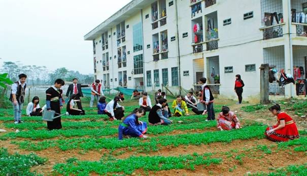 Phú Thọ gắn mô hình trường học với thực tiễn của địa phương