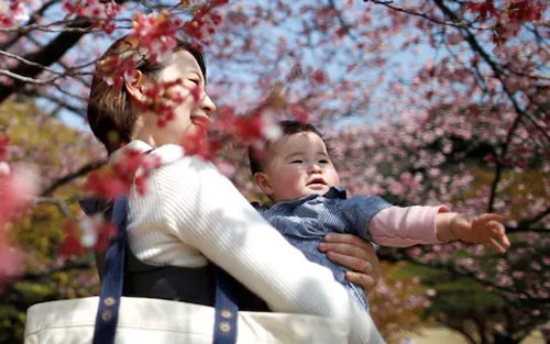 Nữ nhân viên Nhật xin lỗi công ty vì mang thai trước lượt
