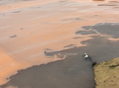 Vệt nước đỏ bất thường đứt quãng dài khoảng 1km nằm tại biển thôn Thọ Sơn xã Quảng Đông huyện Quảng Trạch tỉnh Quảng Bình vào sáng 10/4
