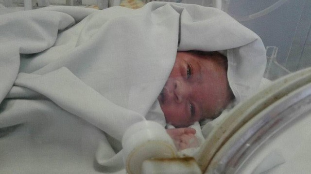 Sau cơn bão Nam Phi, tìm thấy bé sơ sinh trong ổ kiến lửa