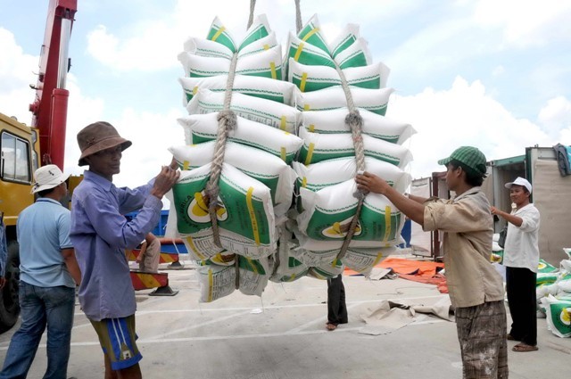 Xuất khẩu gạo tăng mạnh: Chưa kịp mừng đã dậy mối lo