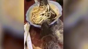 Phát hoảng khi thấy cá nấu chín bỗng nhảy khỏi đĩa