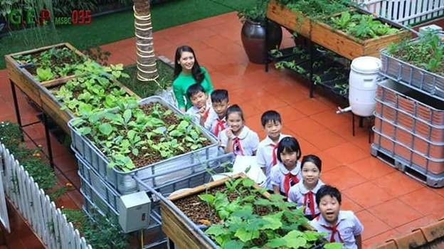 Dạy học theo STEM với mô hình “vườn thông minh” ở trường tiểu học