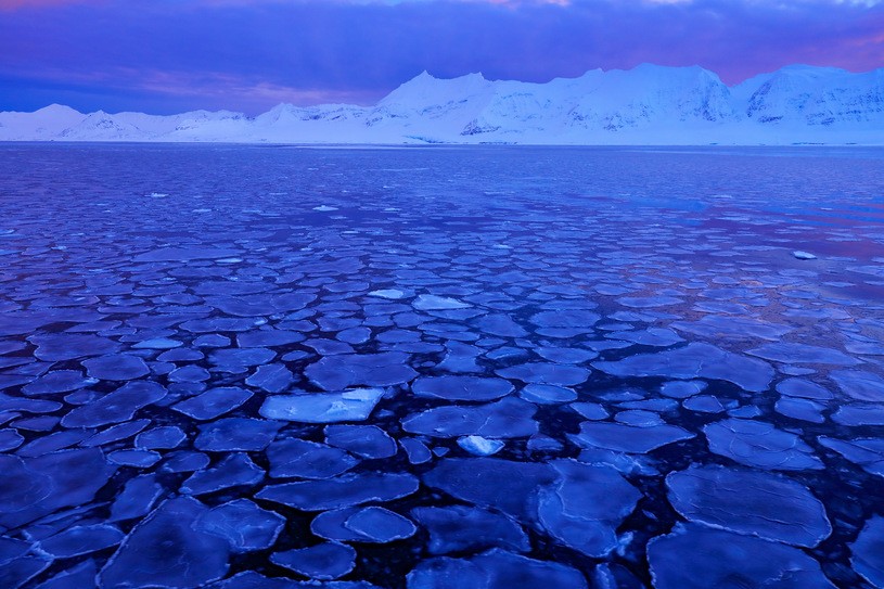 Phát hiện sự sống dưới lớp băng Nam cực