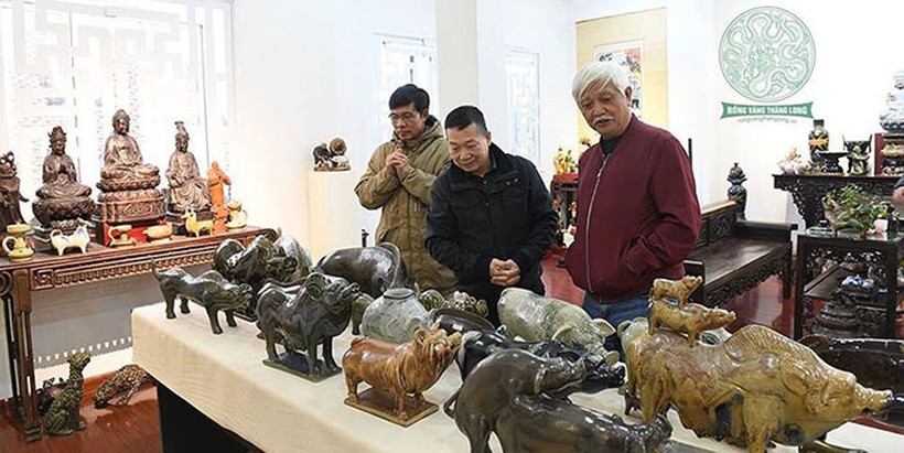 Nhà sử học Dương Trung Quốc (người ngoài cùng) bên những chú heo của mình