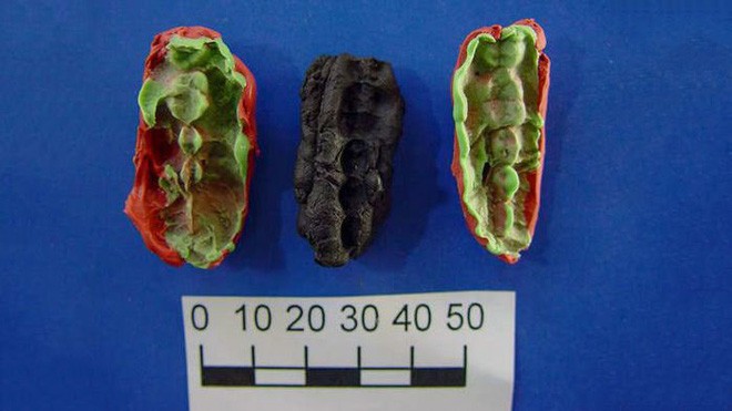 Vì sao miếng kẹo cao su 9.500 năm tuổi lại khiến các nhà khảo cổ điên đảo?