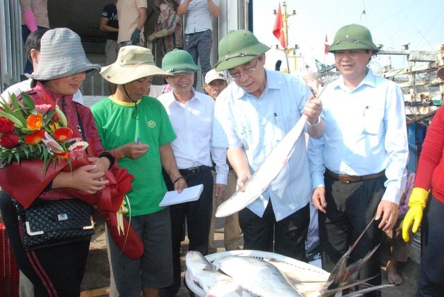 Tận mắt nhìn mẻ cá “siêu khủng” hơn 100 tấn trong lưới ngư dân Quảng Trị